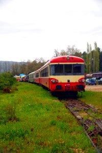 IMGP2123