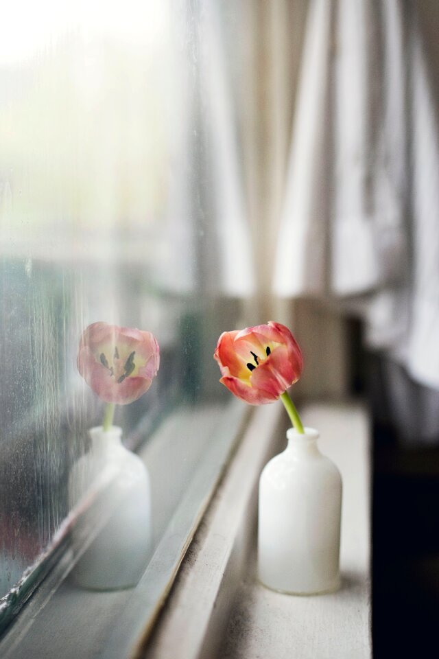 Display window glass