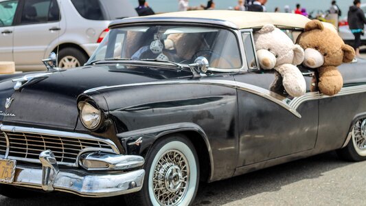 Head out window teddy antique