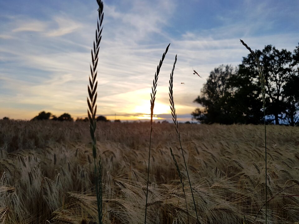 Landscape twilight silent