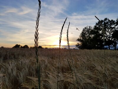 Landscape twilight silent