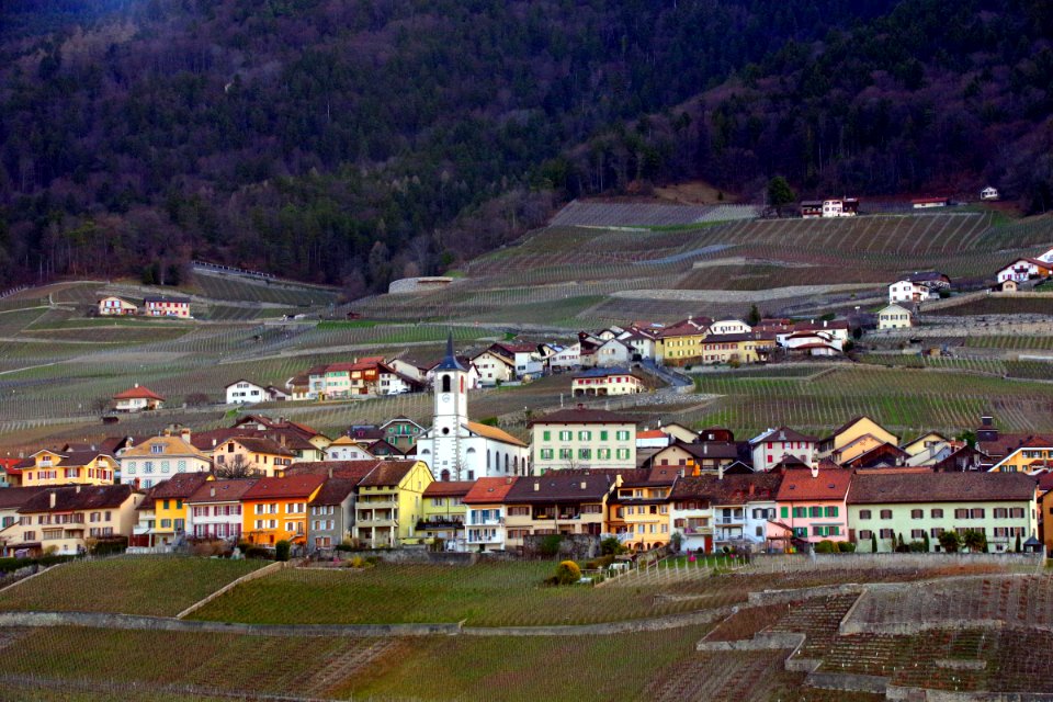 04 Paysages (5)