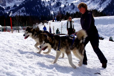 03 Chiens (39)