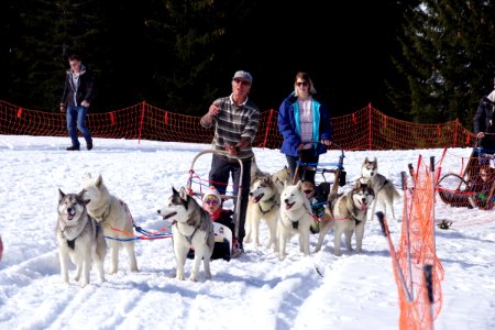 03 Chiens (23)