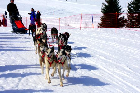 02 Course (51)