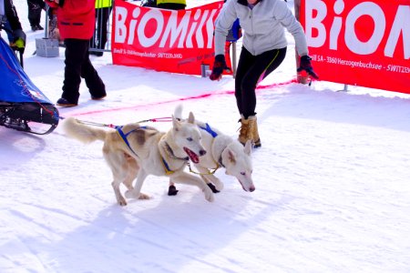 02 Course (43)