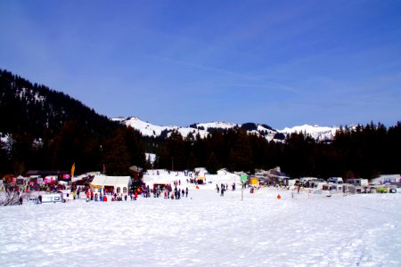 01 Paddock (23)