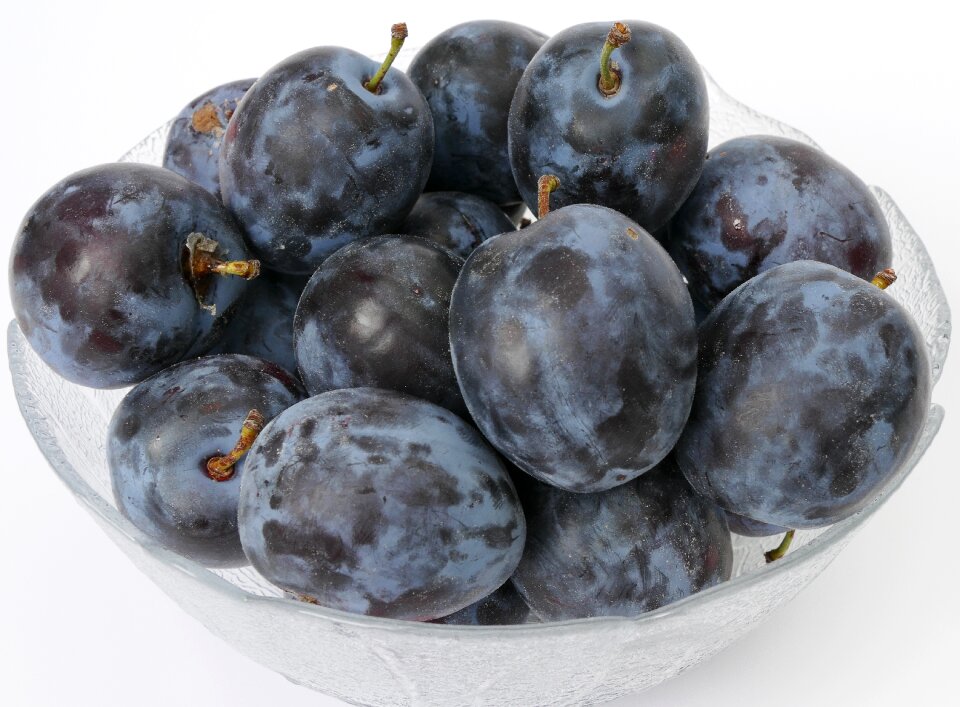 Stone fruit fruit growing prunus domestica