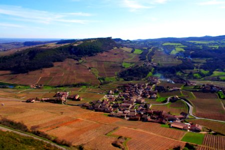 IMGP1355