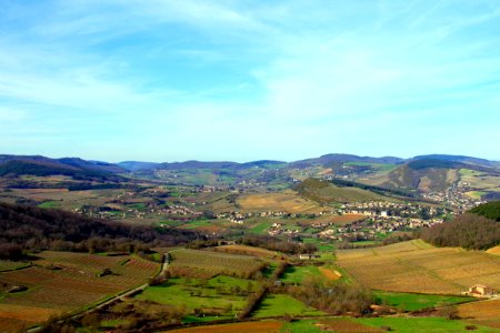 IMGP1352