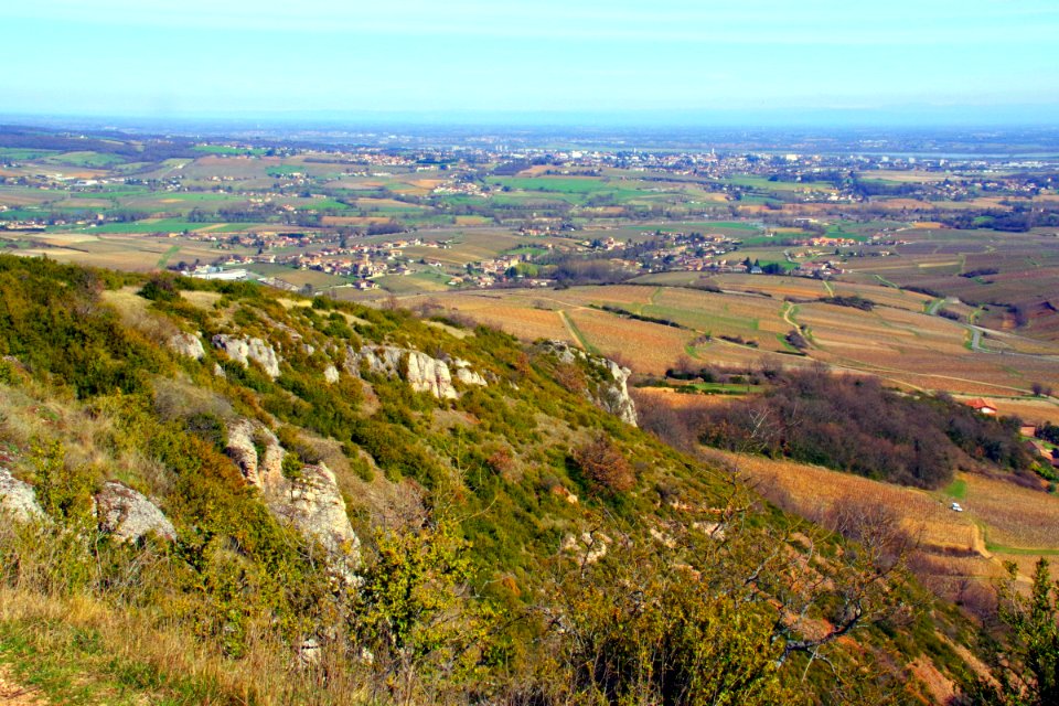 IMGP1334