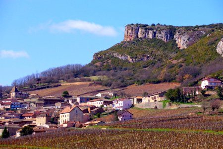 IMGP1287