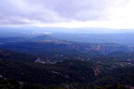 IMGP0650