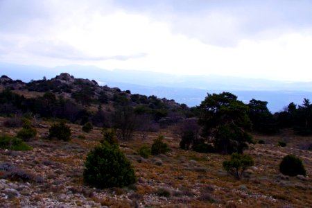 IMGP0639