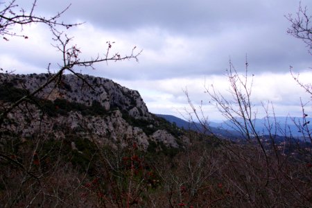 IMGP0606