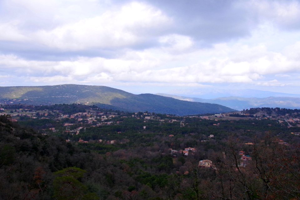 IMGP0585