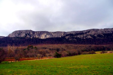 IMGP0557
