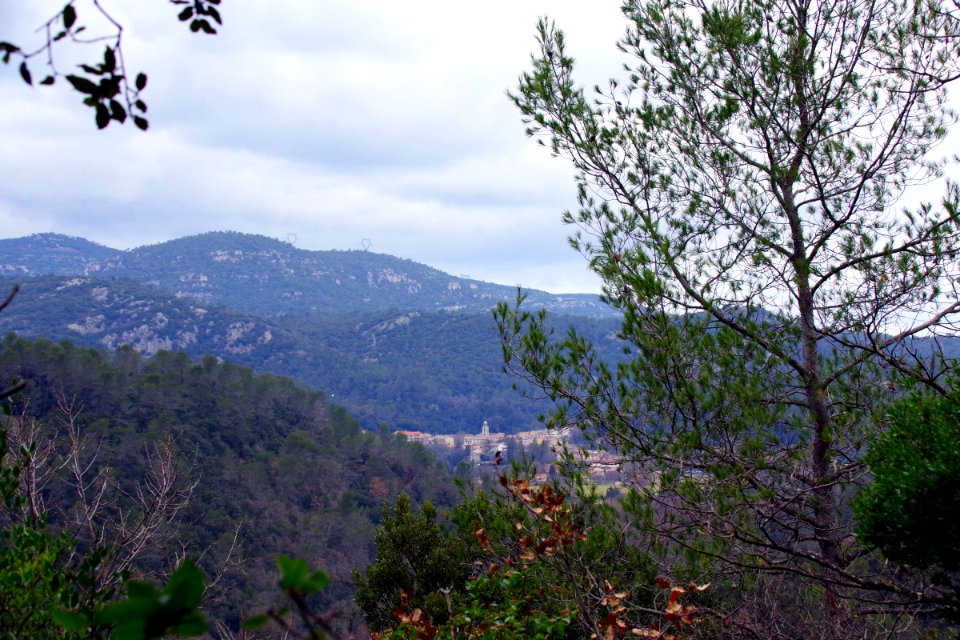 IMGP0529