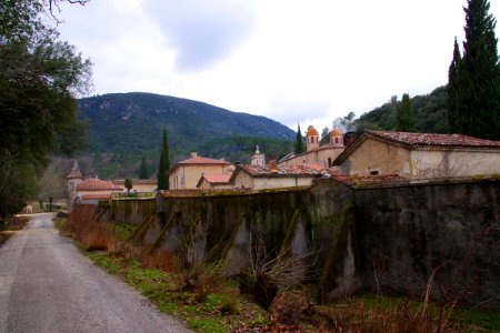 IMGP0528