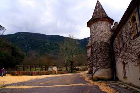 IMGP0523