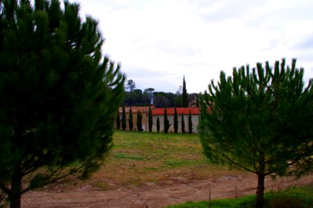 IMGP0521