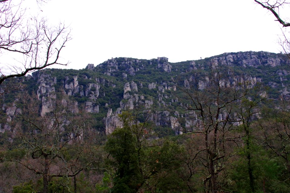 IMGP0508