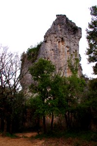 IMGP0506
