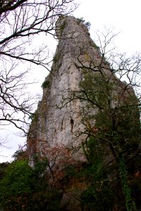 IMGP0500