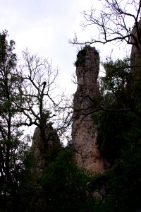 IMGP0499