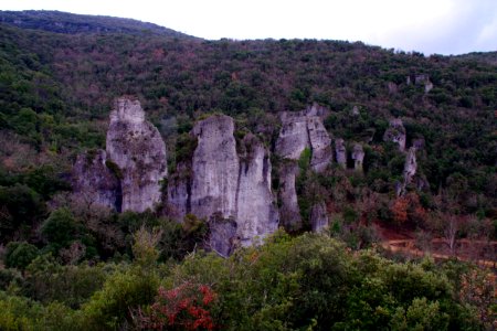IMGP0492