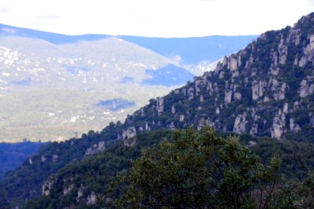 IMGP0484