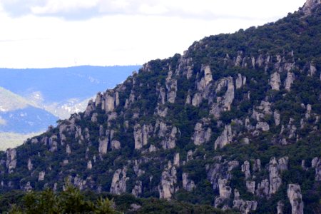 IMGP0483