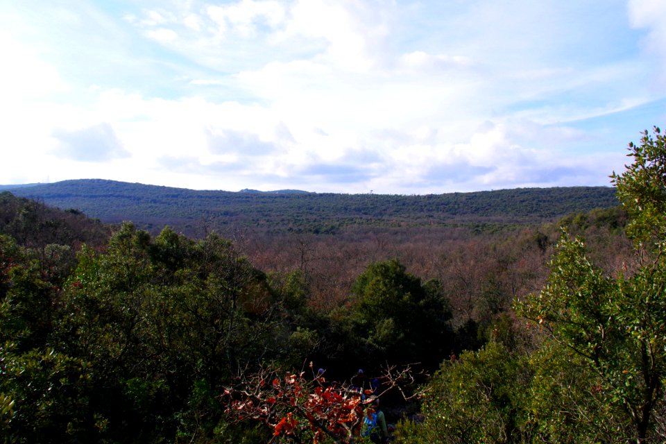 IMGP0466