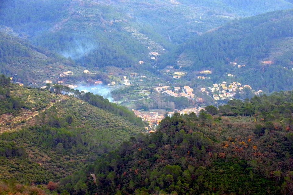 IMGP0441