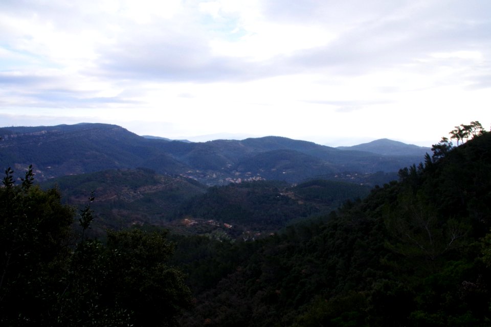 IMGP0436