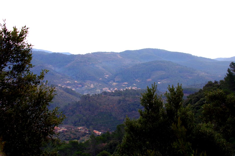 IMGP0434