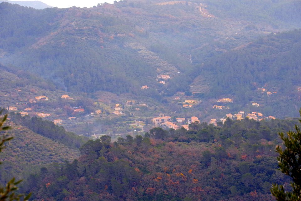 IMGP0435