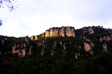 IMGP0426