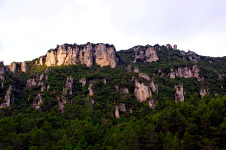 IMGP0427