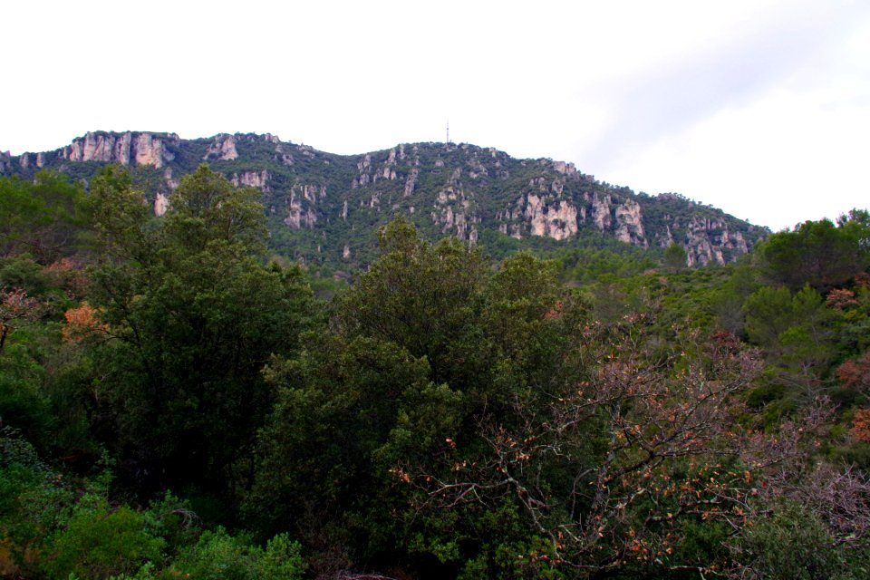IMGP0425