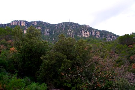 IMGP0425
