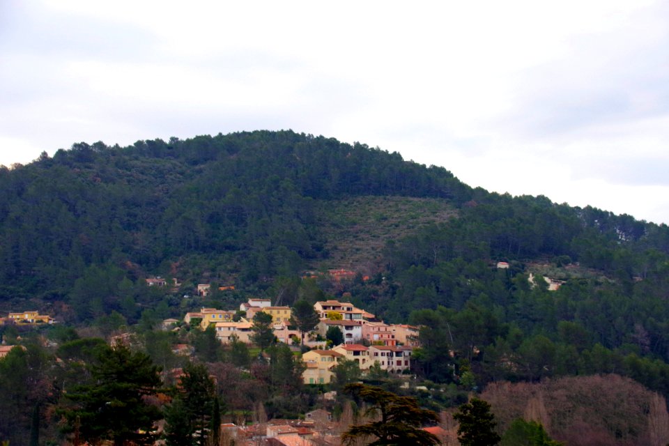 IMGP0413