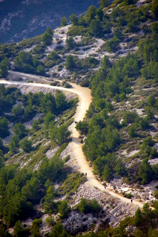 IMGP0298