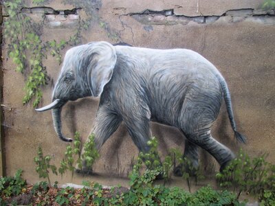 Zoo berlin lichtenberg