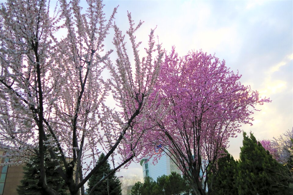 Current season landscape nature