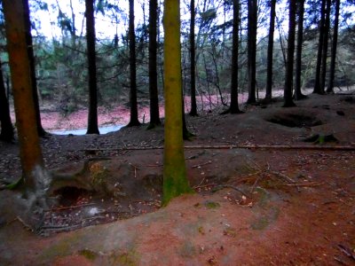 12 Bastogne (7)