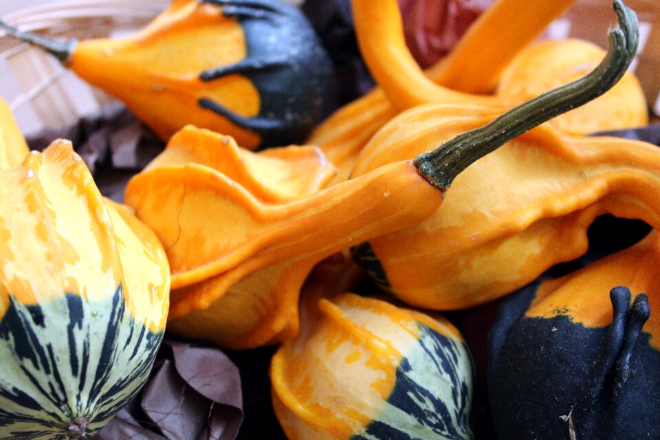 Orange vegetables october