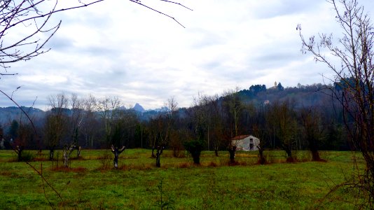 Apennin du Nord (7)