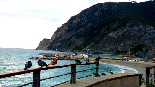 Cinque terre (23) photo