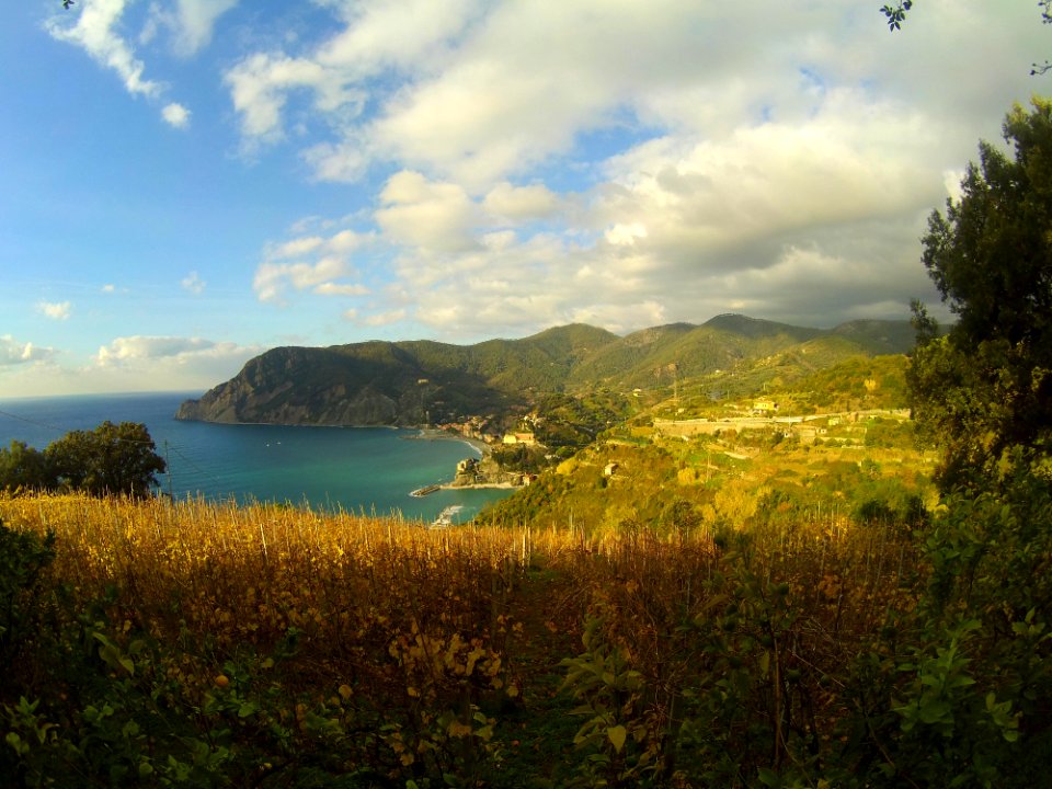 Cinque terre (4)